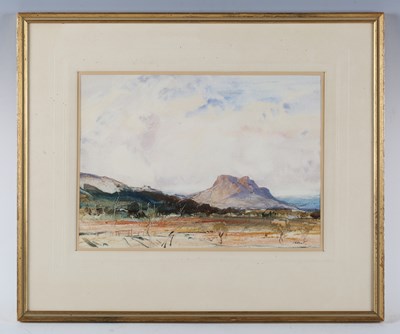 LOT 79