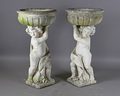 LOT 2646