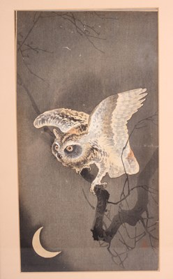 LOT 1331