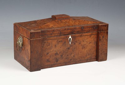 LOT 2509