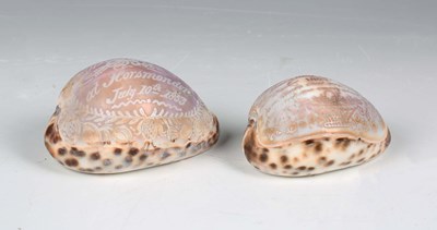 LOT 2541