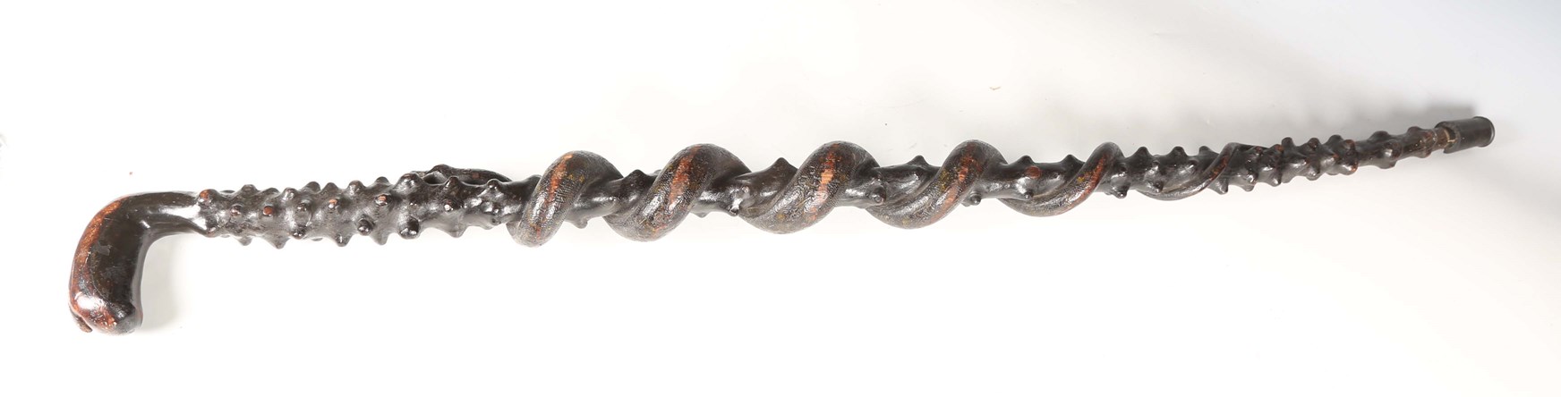 LOT 2555