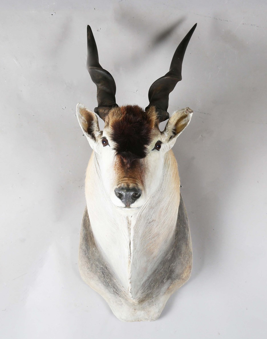 LOT 2618