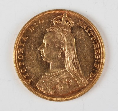 LOT 4041