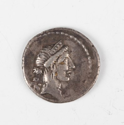 LOT 4194