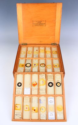 LOT 1208