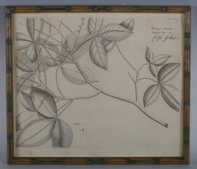 LOT 14