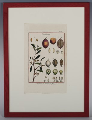 LOT 15