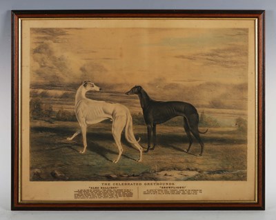 LOT 19