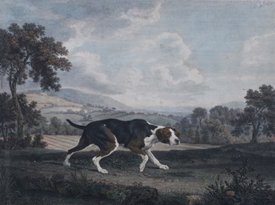 LOT 20