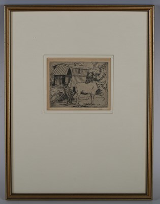 LOT 21