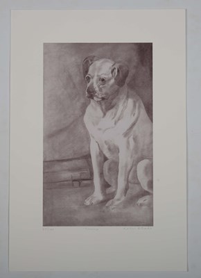 LOT 48