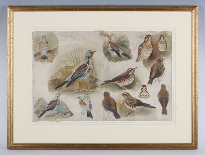 LOT 169