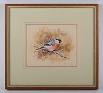 LOT 288