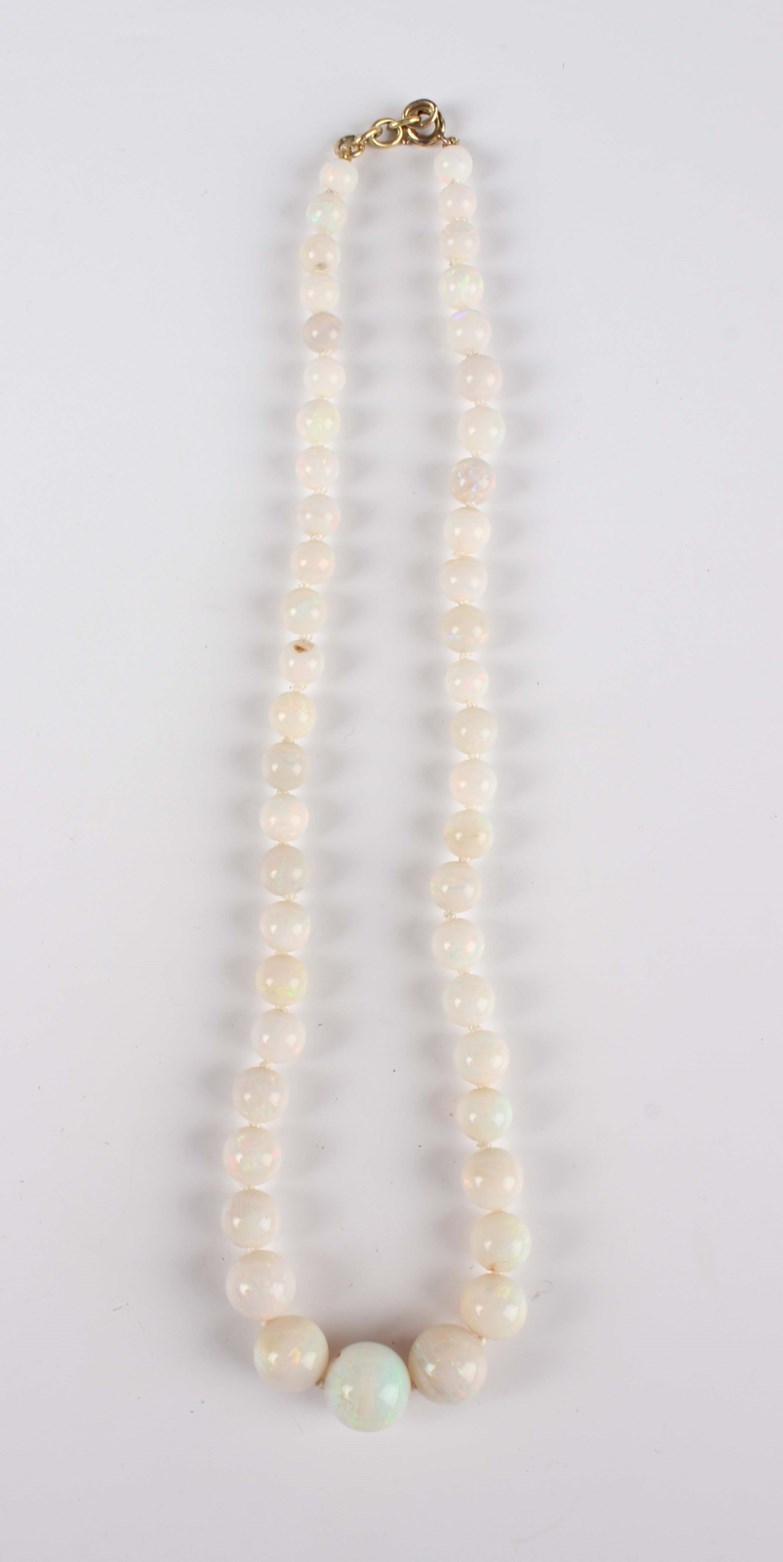 LOT 685