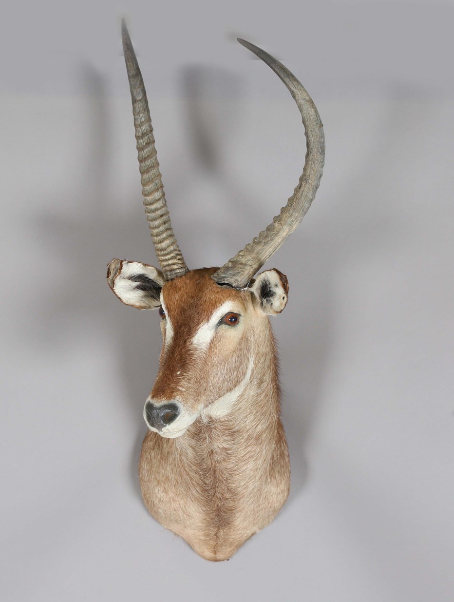 LOT 2623