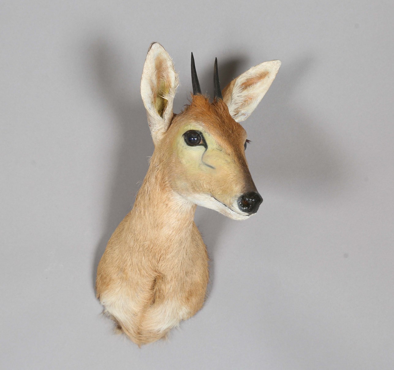 LOT 2625
