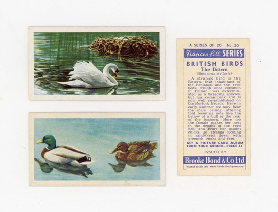 LOT 3085