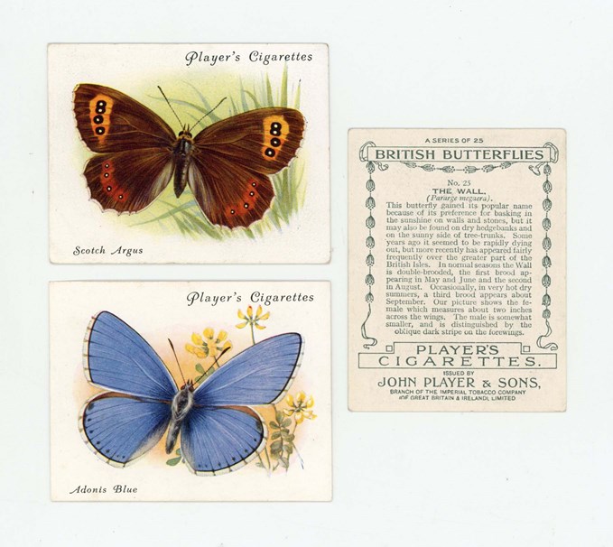 LOT 3089