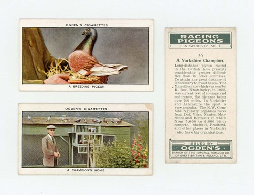 LOT 3096