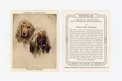 LOT 3108