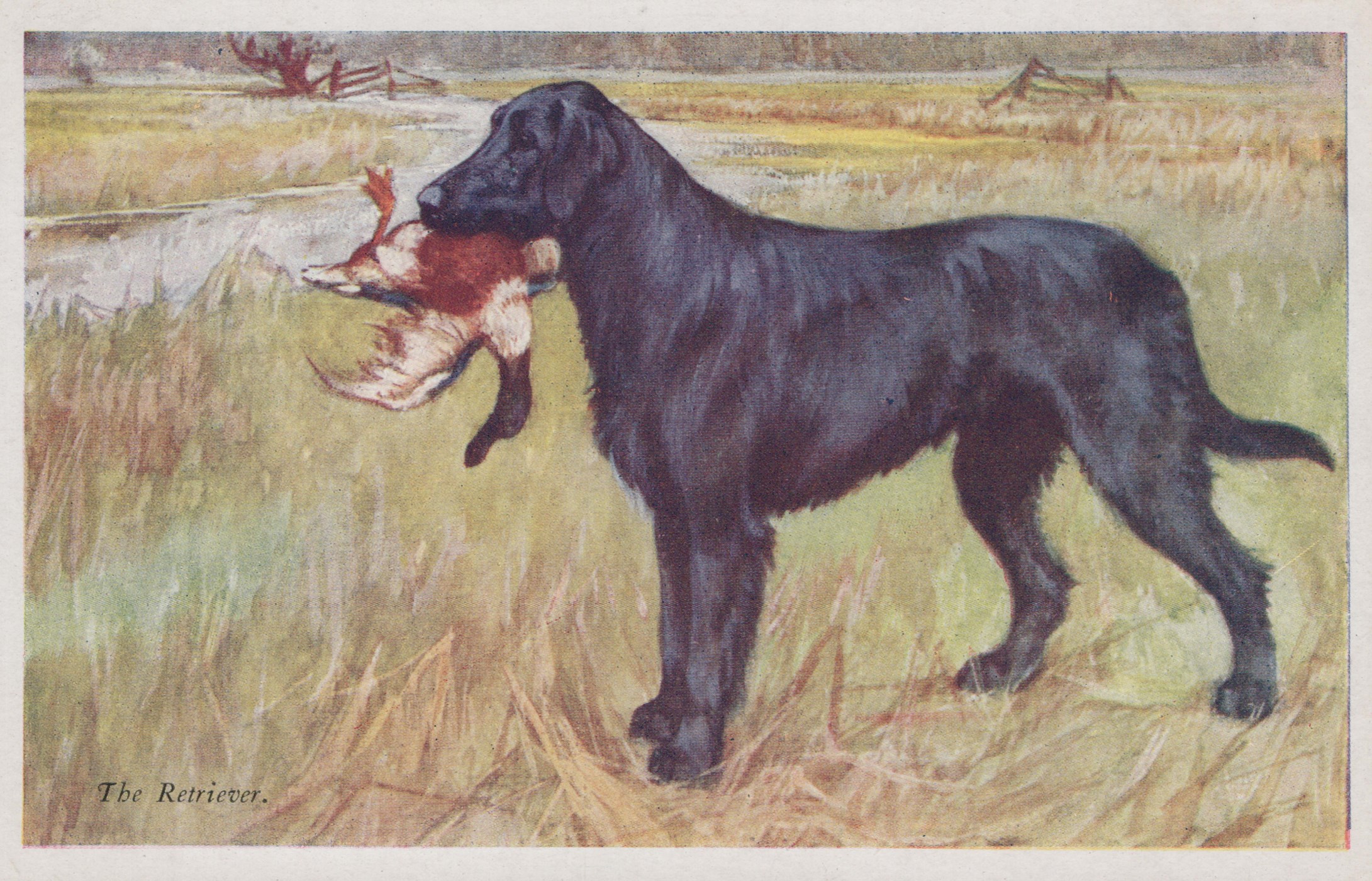 LOT 3136