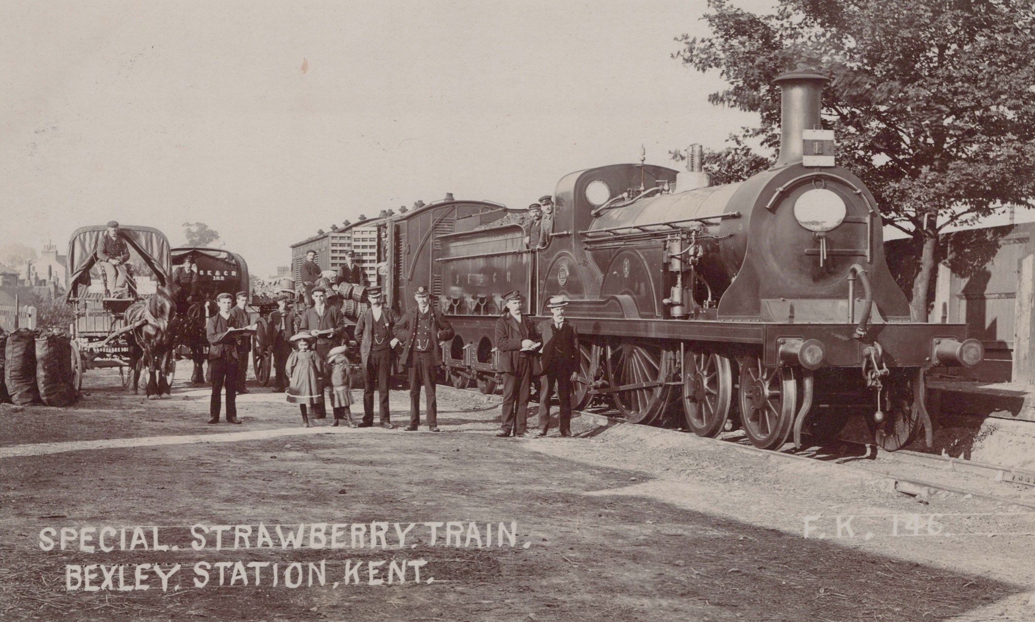 LOT 3141