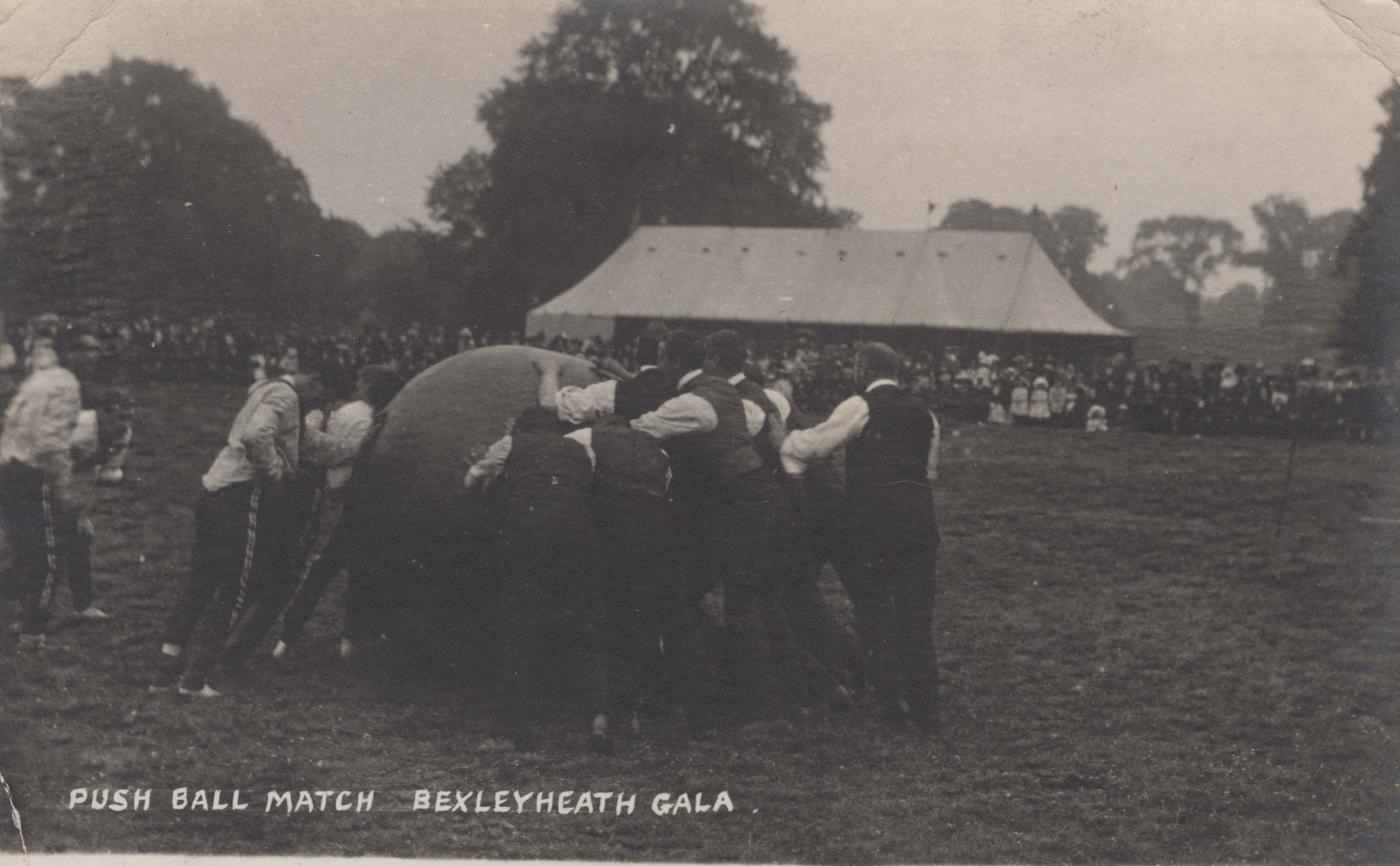 LOT 3153