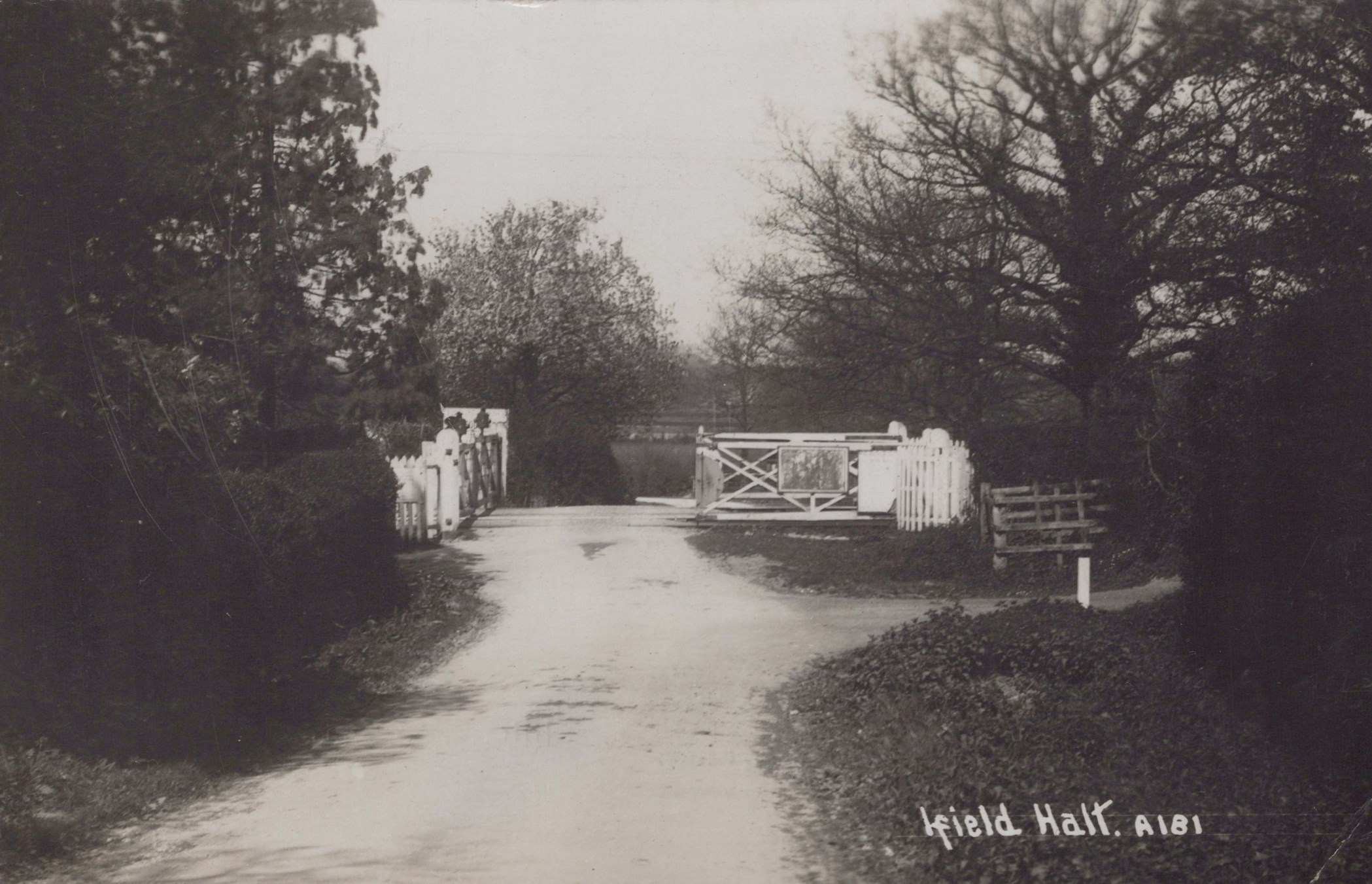 LOT 3188