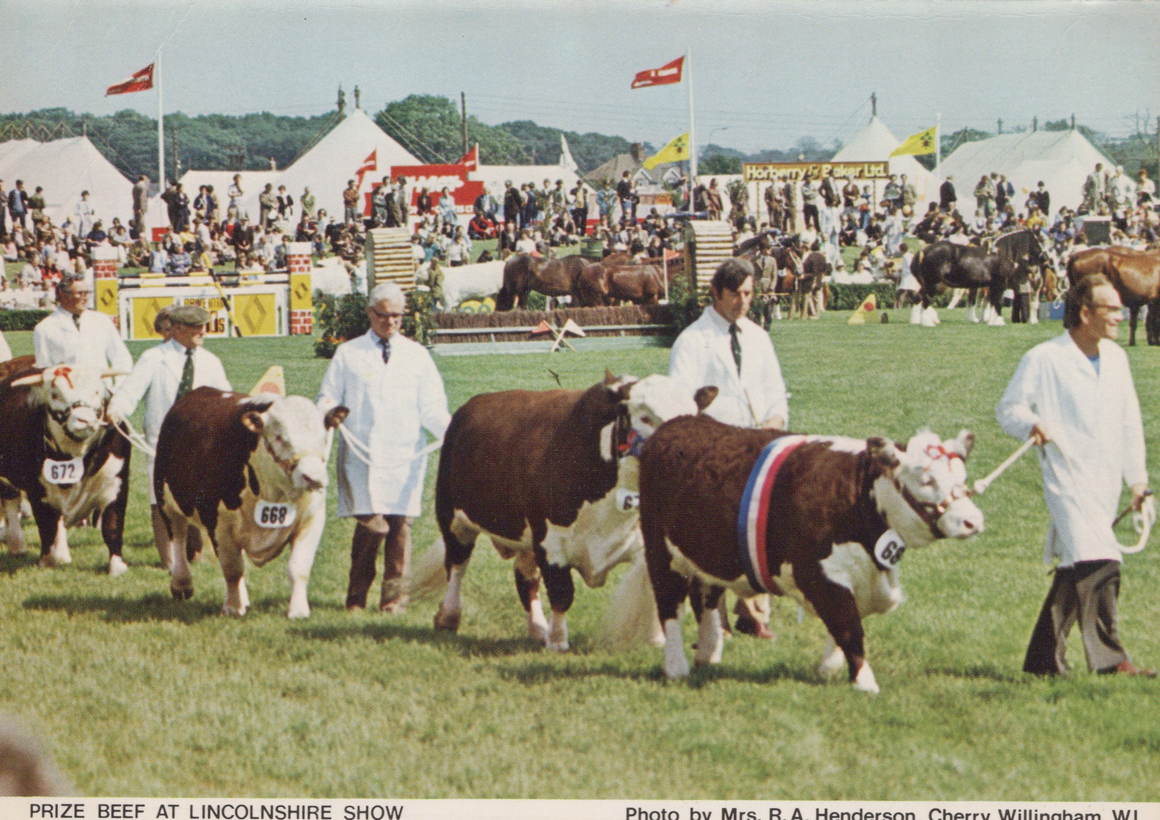 LOT 3256