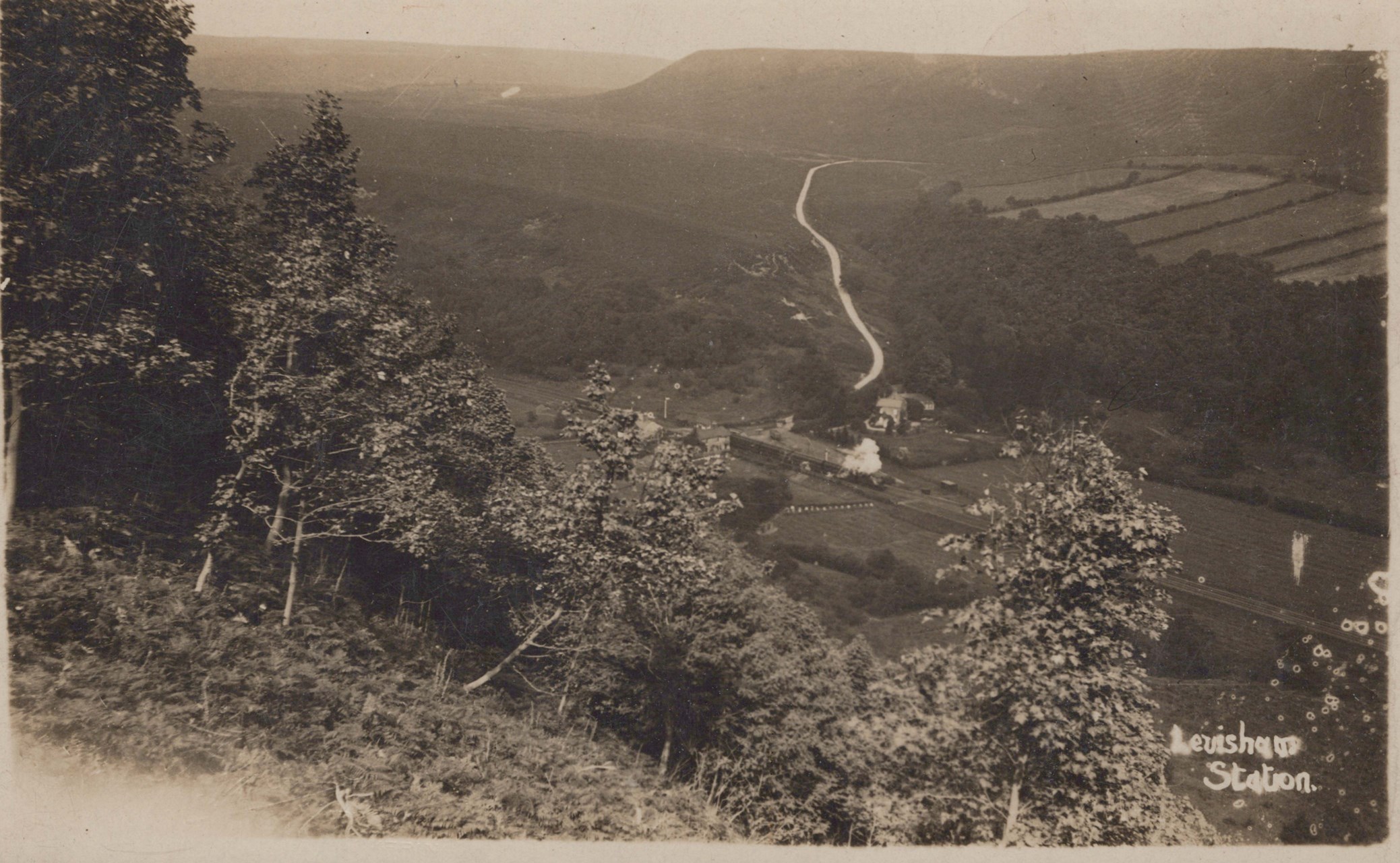 LOT 3273