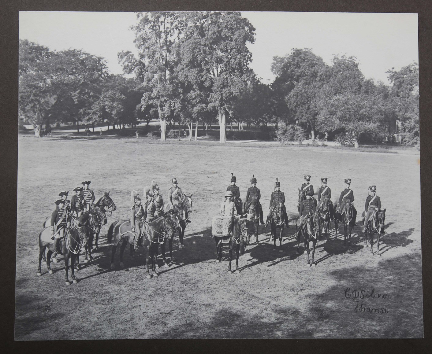 LOT 3351