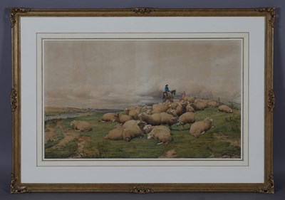 LOT 33