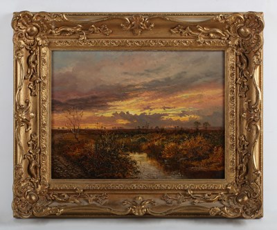 LOT 51