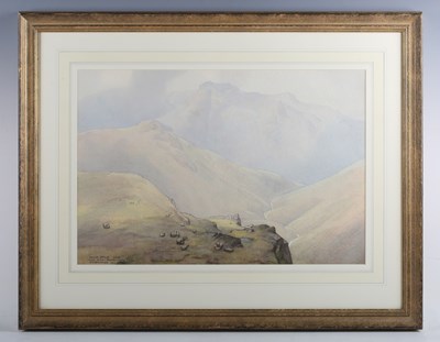 LOT 67