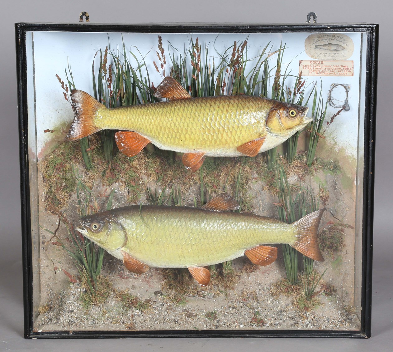 LOT 2541