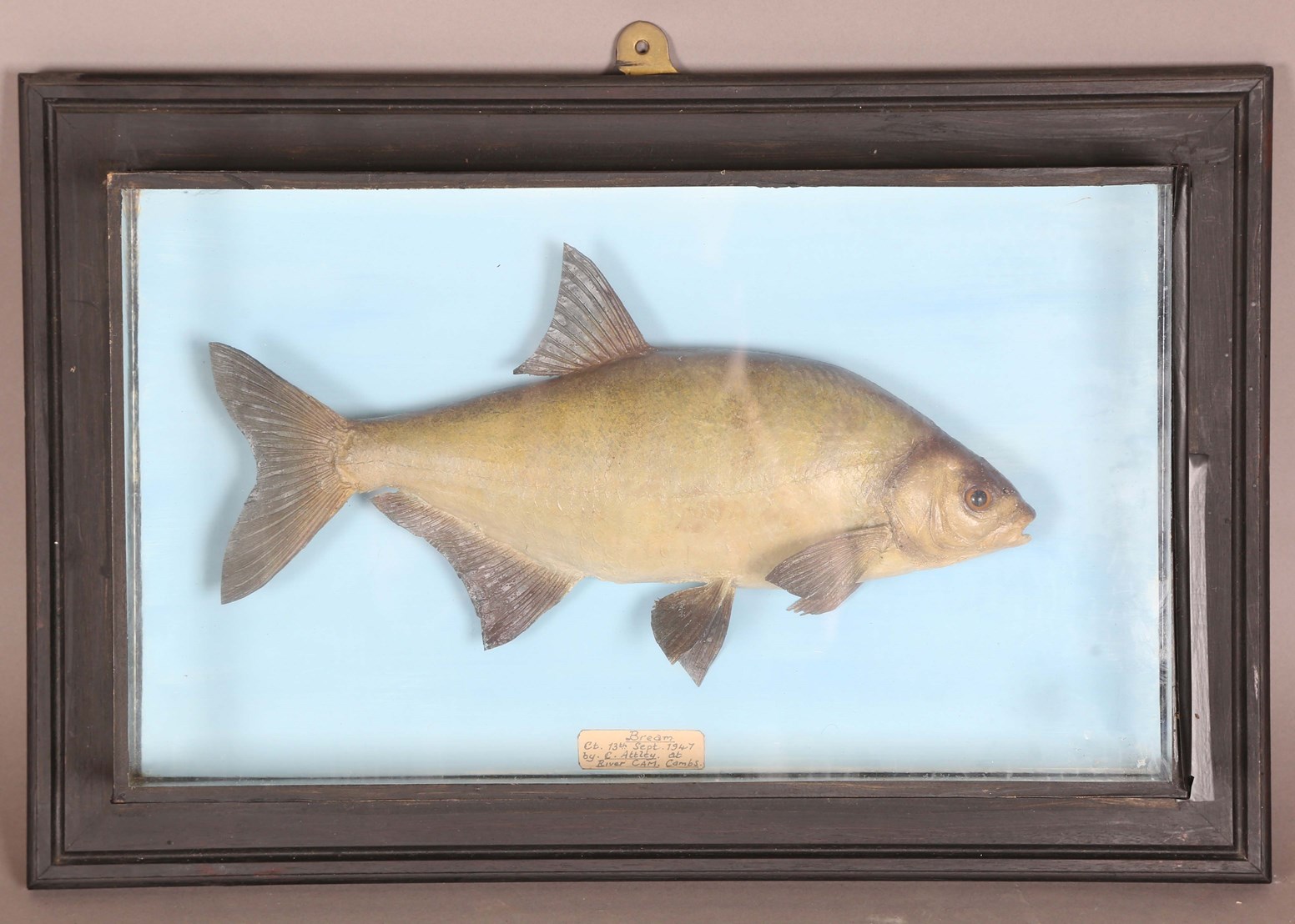 LOT 2544