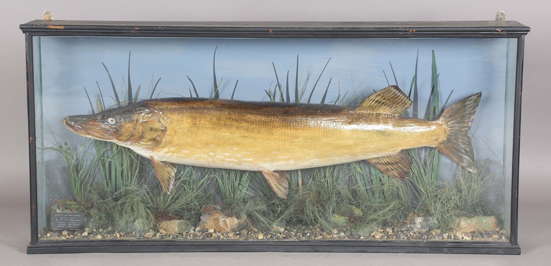 LOT 2545