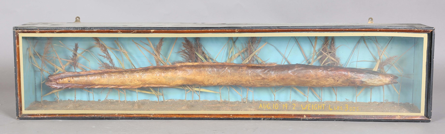 LOT 2547