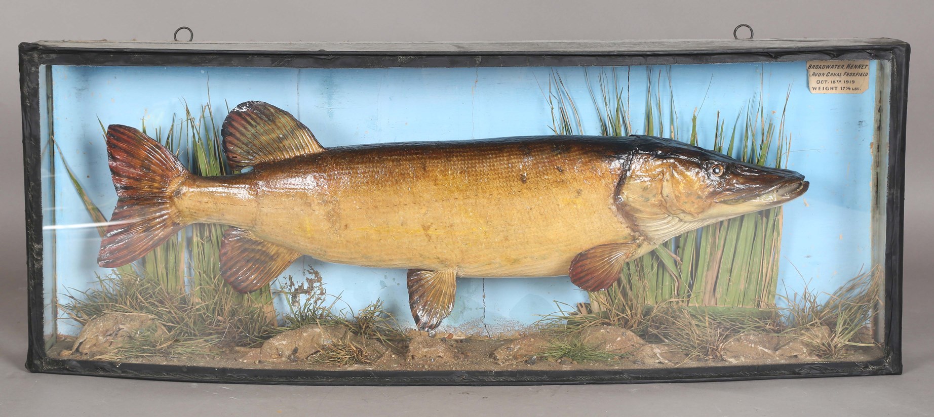LOT 2548