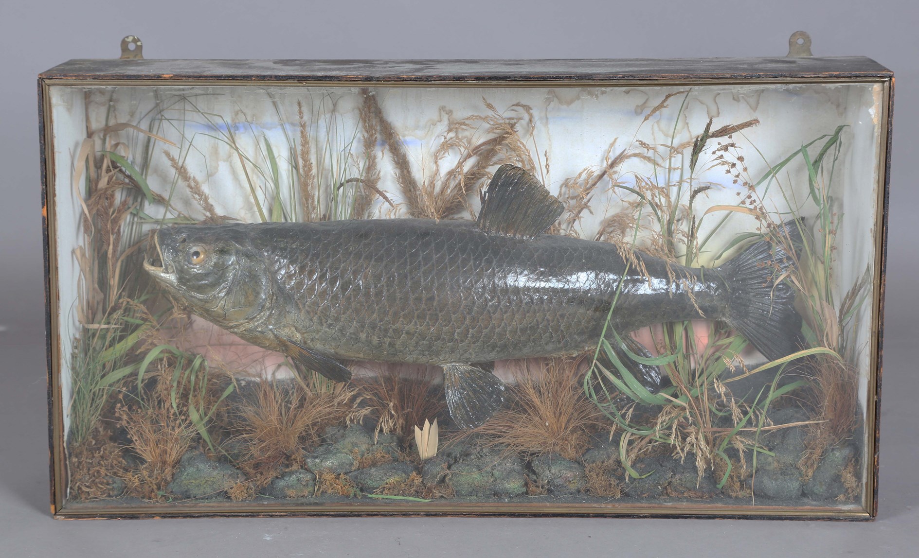 LOT 2551
