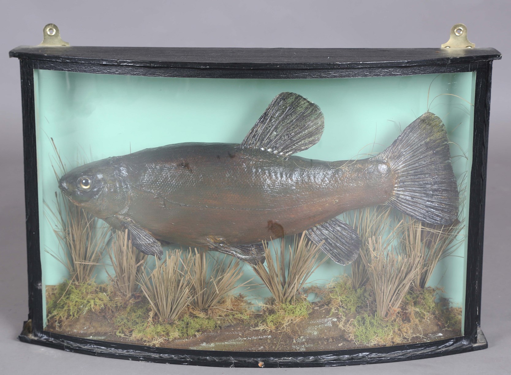 LOT 2552