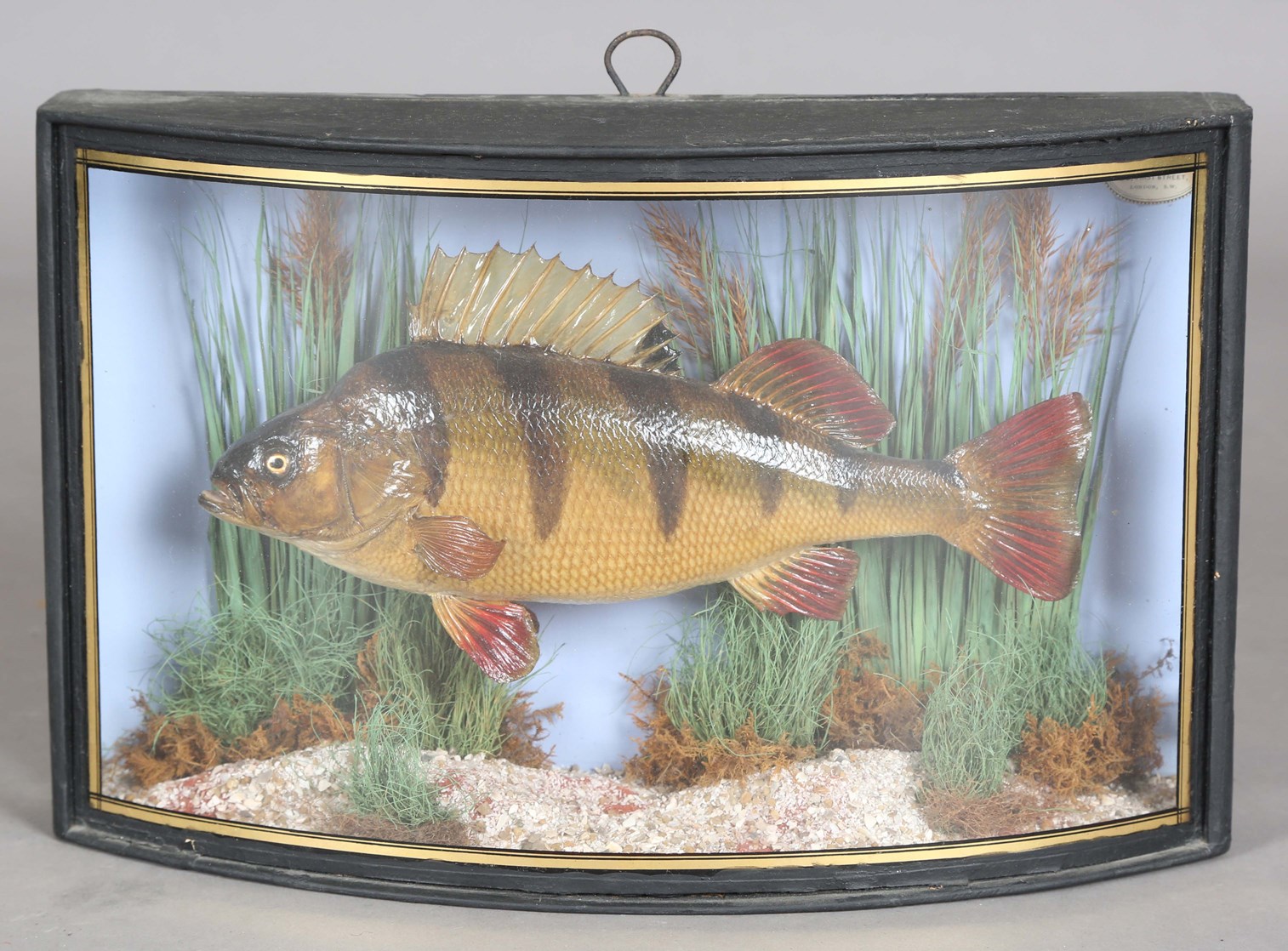 LOT 2553