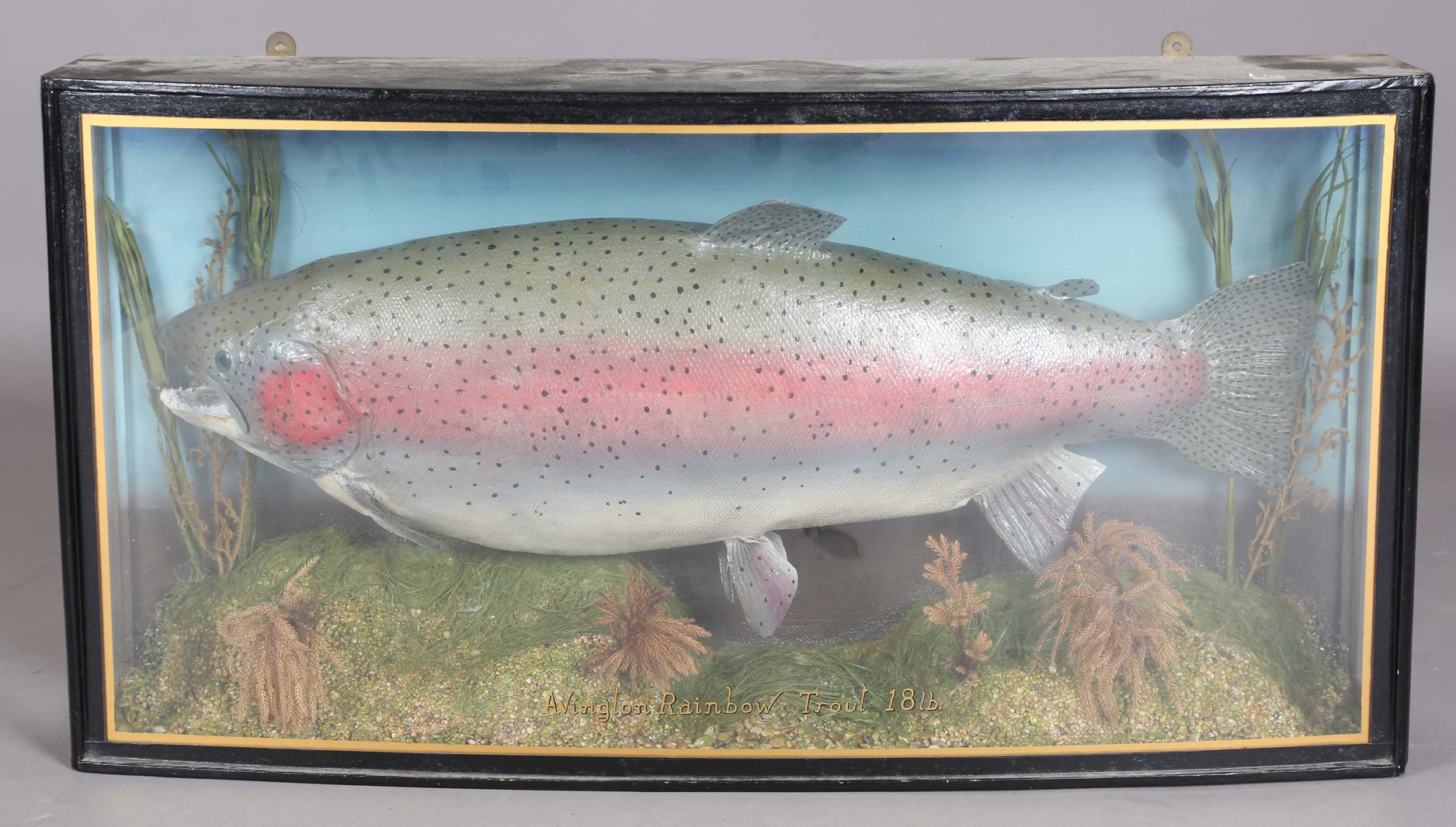 LOT 2557