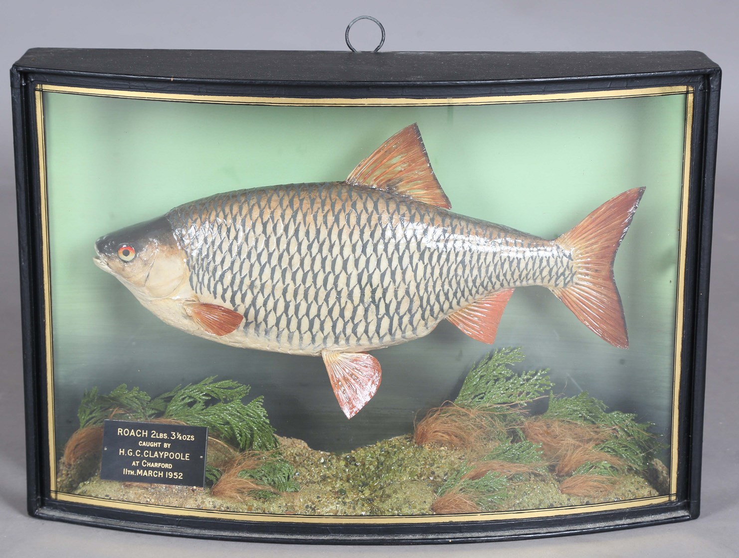 LOT 2560