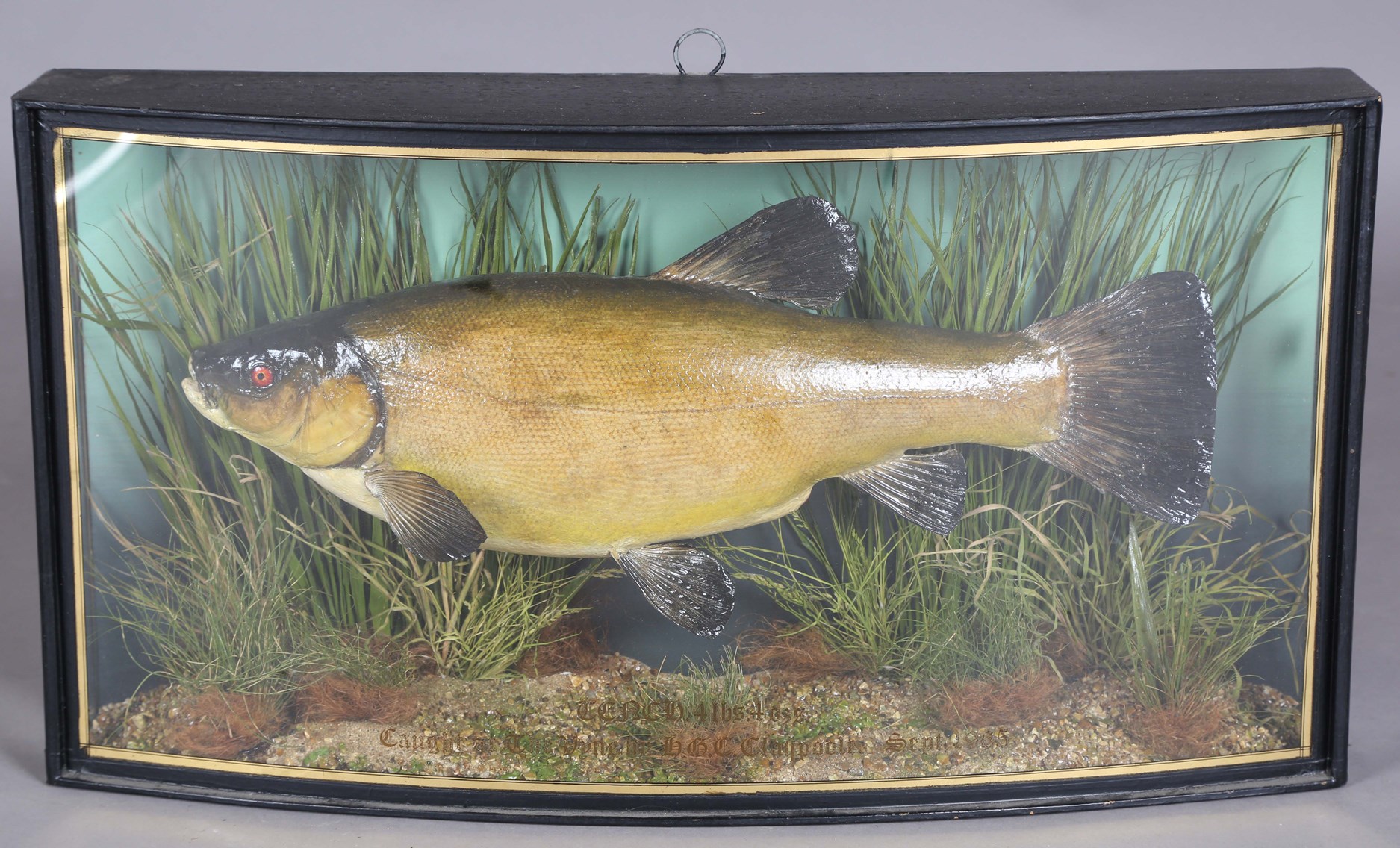 LOT 2561