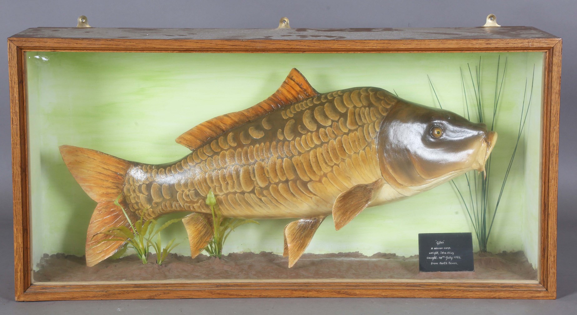LOT 2562