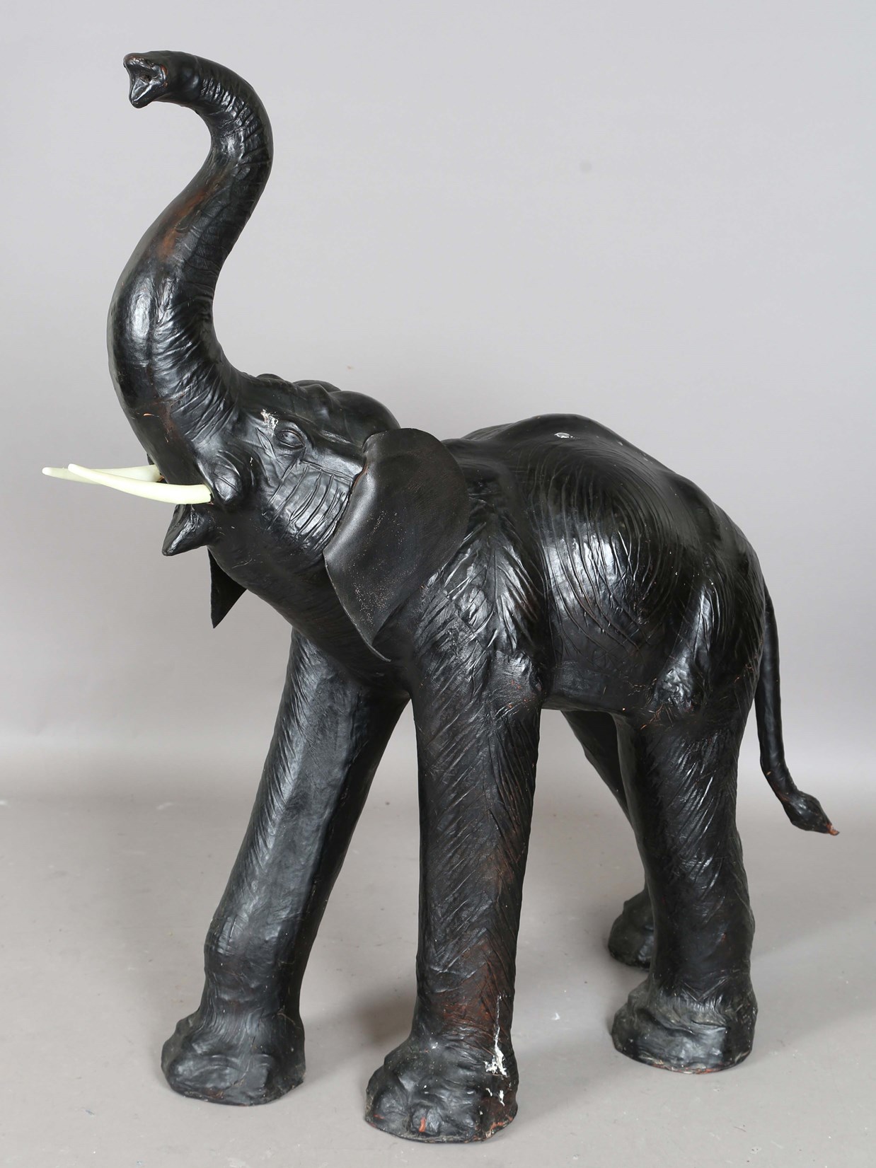LOT 2567