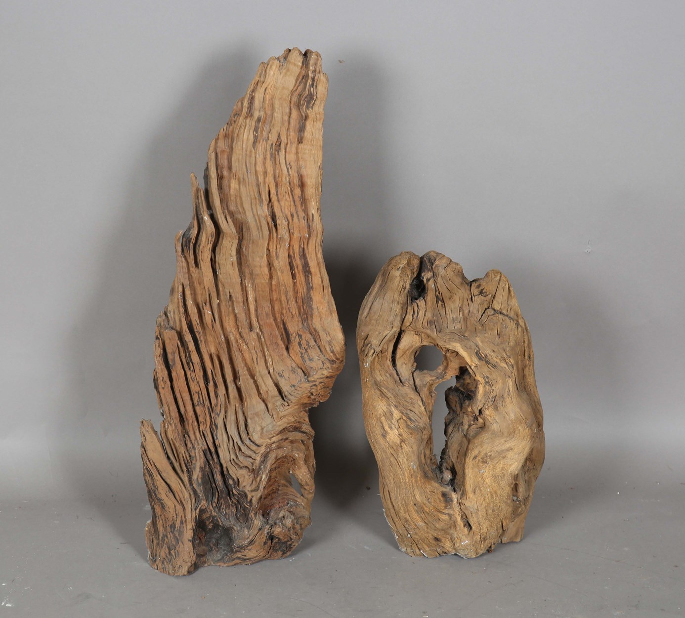 LOT 2589