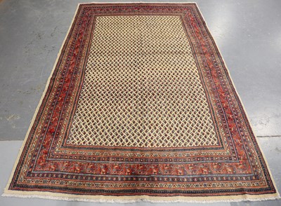 LOT 2919